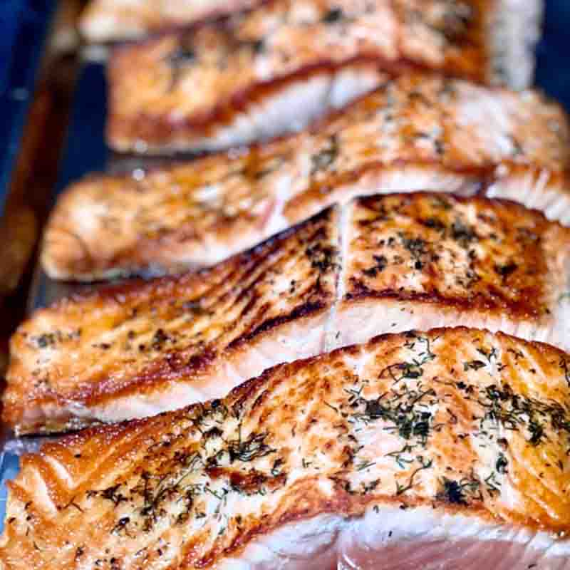 salmon